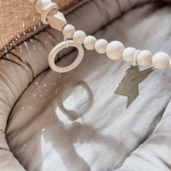 BEZISA Birds Wagenspanner Pistache Green -Kinder Producten Winkel 8720618125453 1 9132